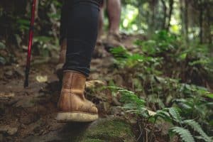 senderismo naturaleza campo bosque